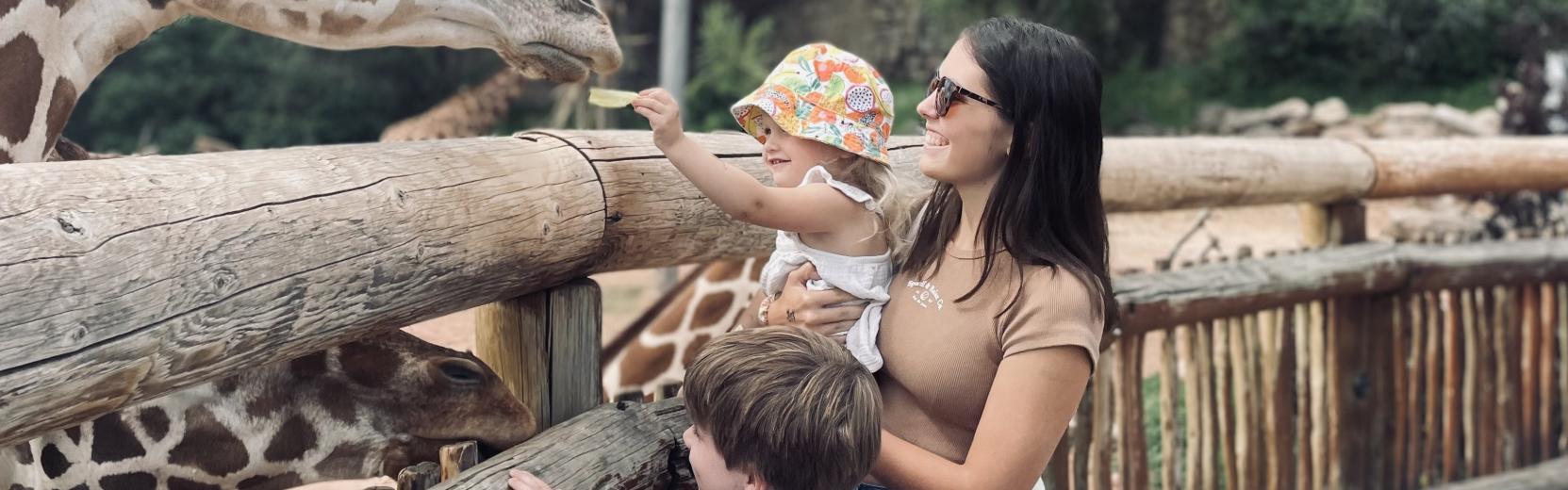 Au pair con due bambini ospitanti allo zoo mentre danno da mangiare alle giraffe